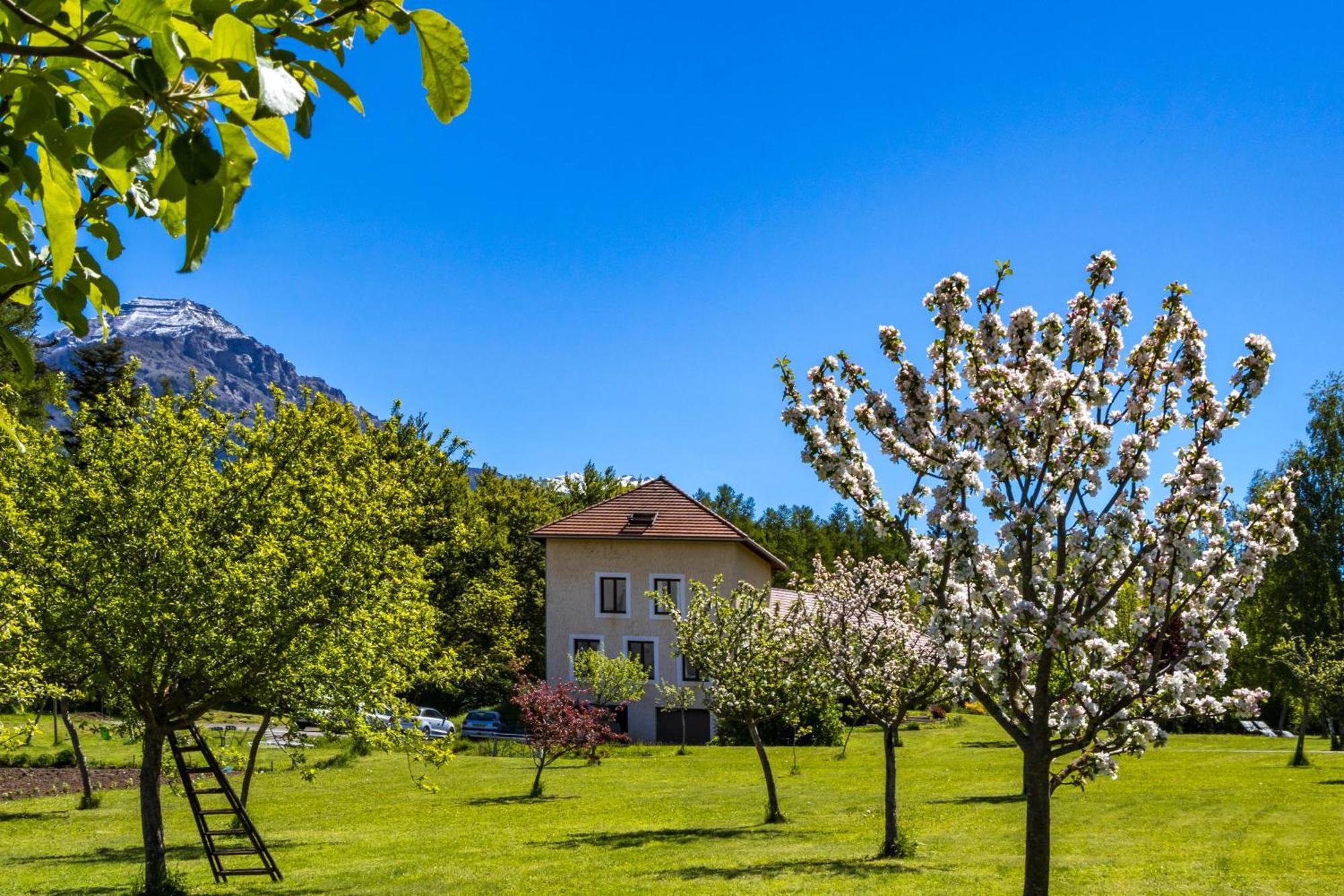 "La Combe Fleurie" Appartements & Chambres Saint-Bonnet-en-Champsaur Exterior foto